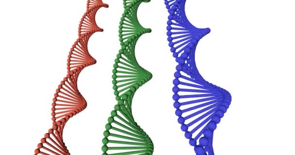 DNA螺旋弦抽象背景概念艺术 — 图库视频影像