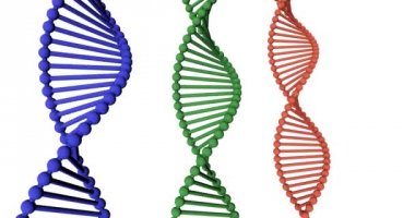 DNA Tıbbi Bilimler ve Biyoteknoloji Kimya Genleri
