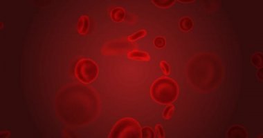 Dolaşım Sisteminde Kırmızı Kan Hücreleri Akıyor