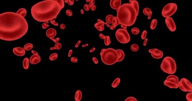 Dolaşım Sisteminde Kırmızı Kan Hücreleri Akıyor