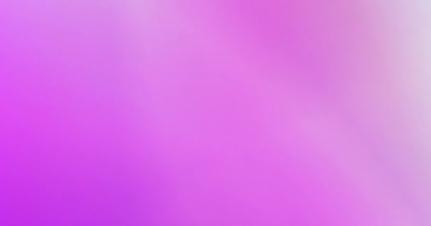 Purple Pink Gradient Abstrakt bakgrund Looping som modernt mönster — Stockvideo