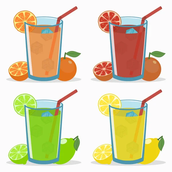 Citrus juice - orange, grapefruit, lime, lemon. — Stock Vector