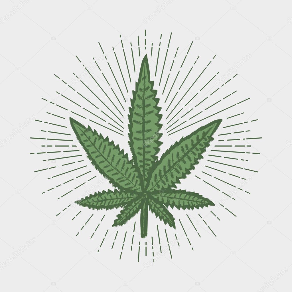 Cannabis leaf print.