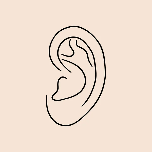 Ear human. Drawn lines icon. — Stock Vector