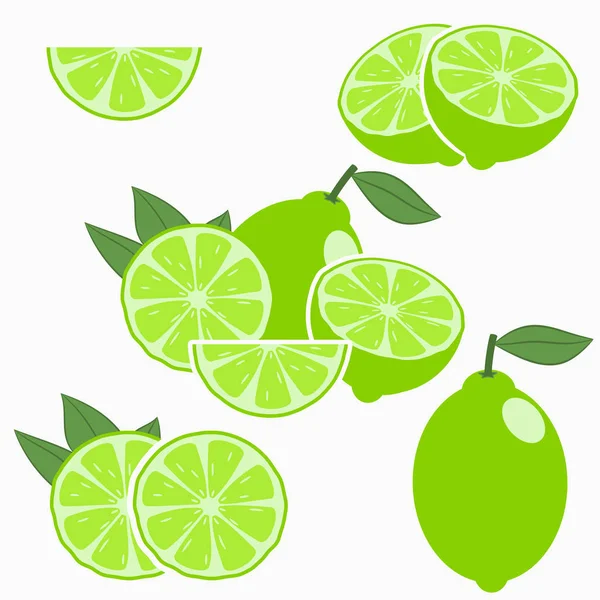 Lime. Citrusvruchten. — Stockvector