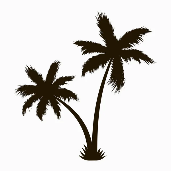 Palmboomsilhouet. — Stockvector