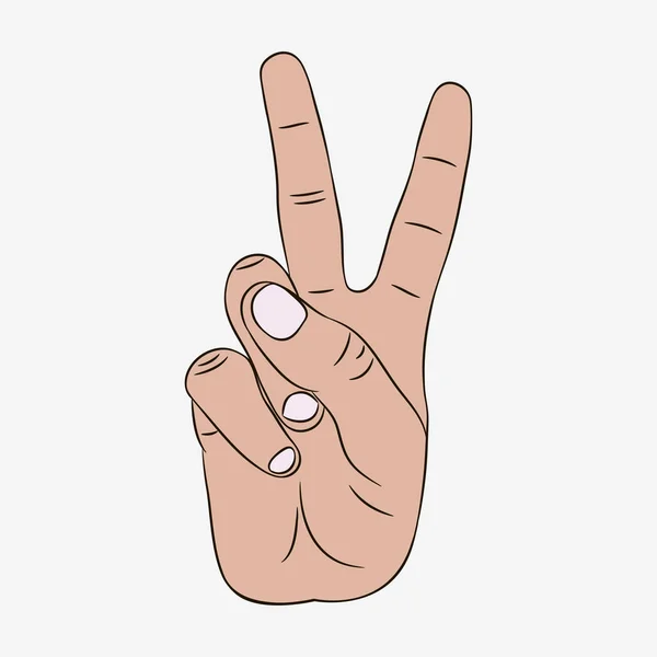 Znak míru a Vítězné gesto ruky. Vektorové. — Stockový vektor