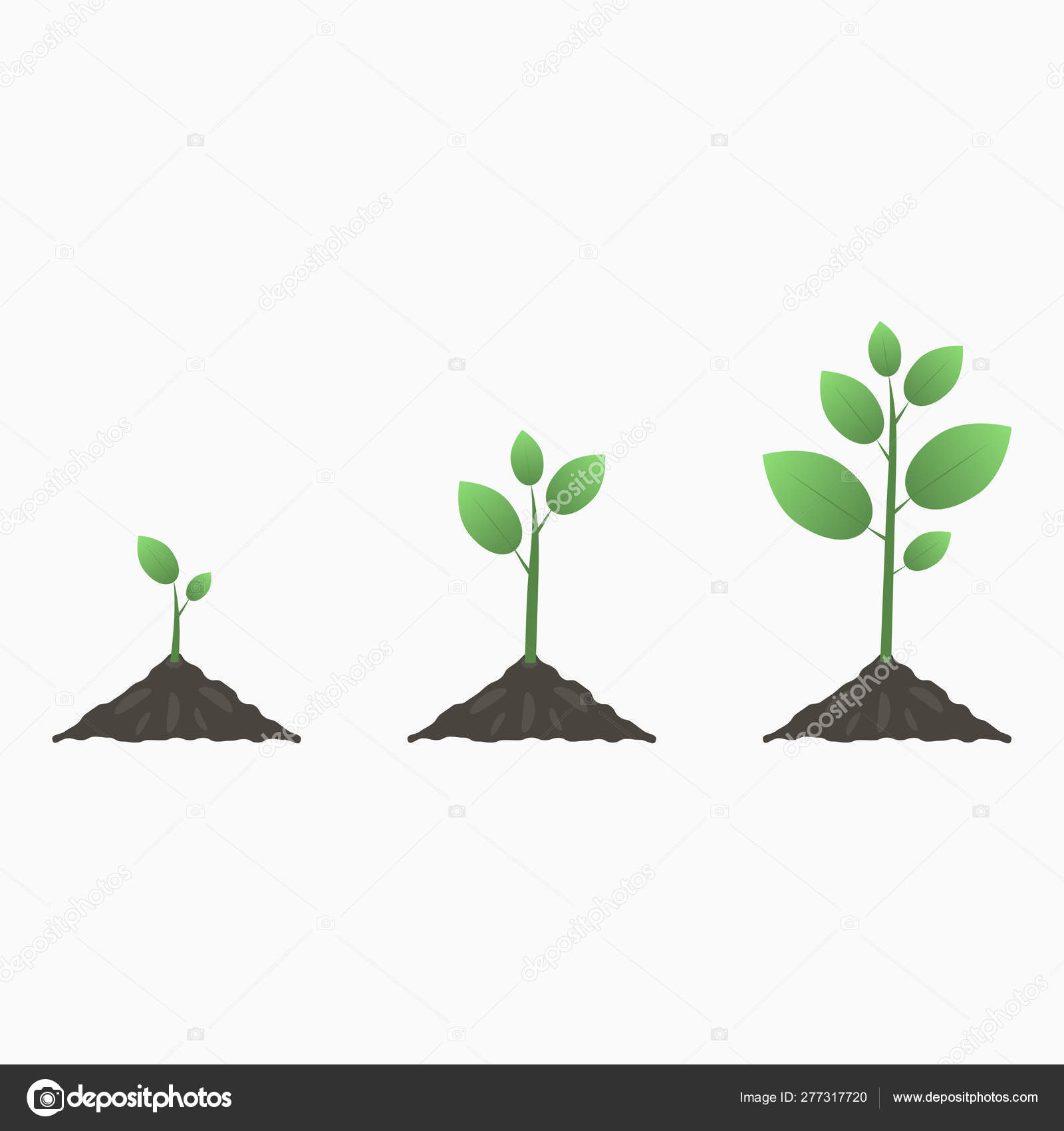 Tree Growth Stages Illustration Tree Illustration Illustration Tree growth-time-plant-color-icon-vector-illustration-19590824-vector-art-at