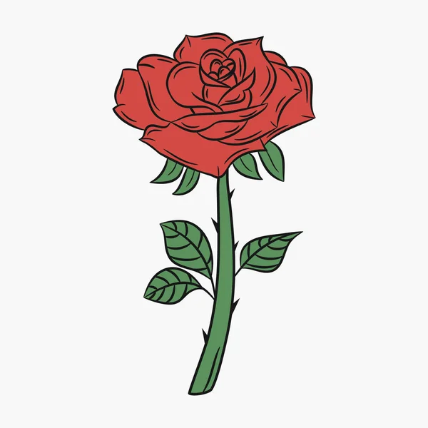 Rosa, flor con tallo y espinas . — Vector de stock