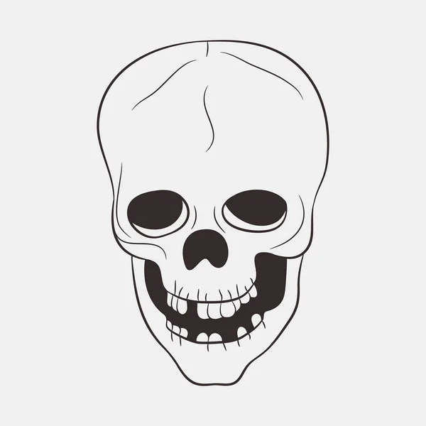 Skull human with a lower jaw and teeth. — Stock Vector