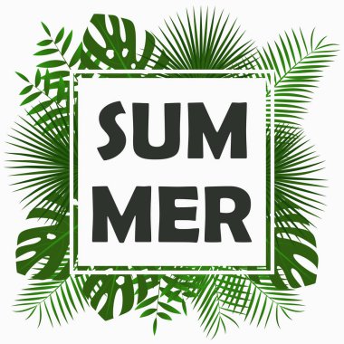 Yaz kartı tasarımı ile - tropikal palmiye yaprakları.