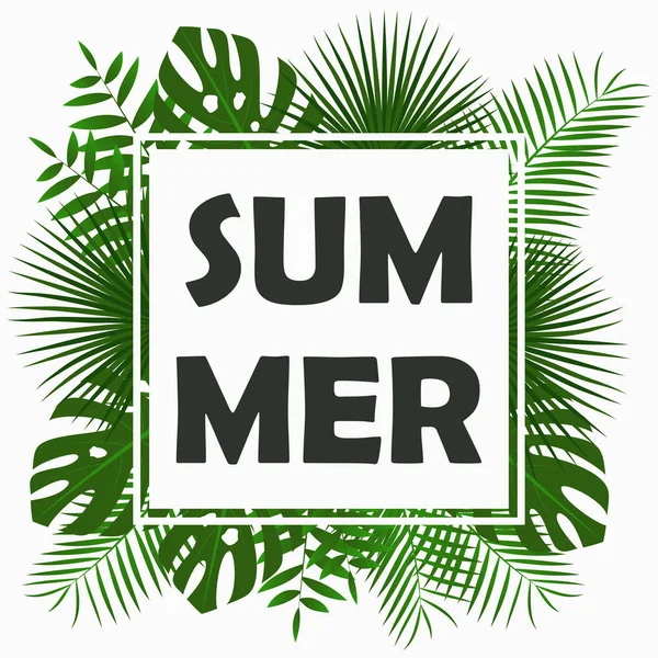 Yaz kartı tasarımı ile - tropikal palmiye yaprakları.