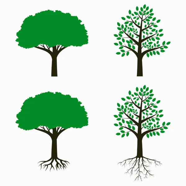 Tree with root and leaf. — Stock Vector