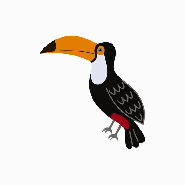 Toucan. Exotic tropical bird with big yellow beak. — Stock Vector