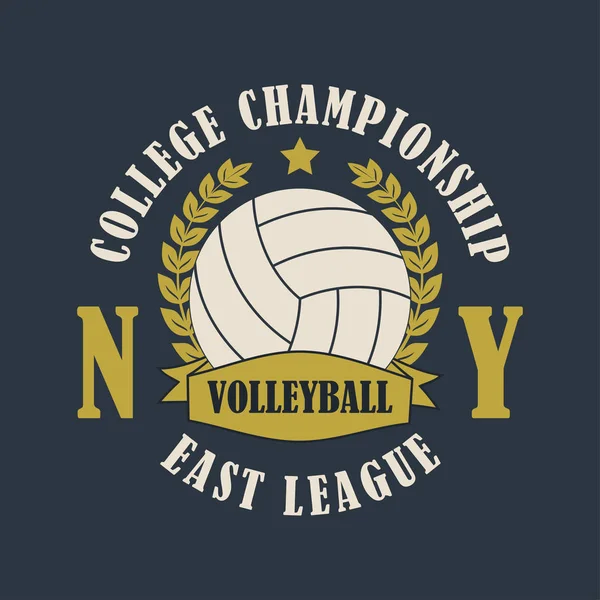 Imprimé Volleyball New York pour t-shirt . — Image vectorielle