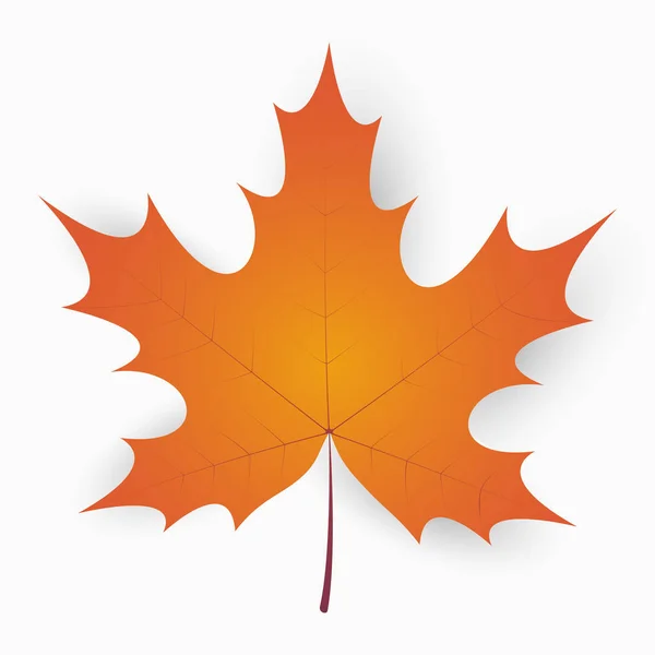 Jesienny liść klonu — Wektor stockowy