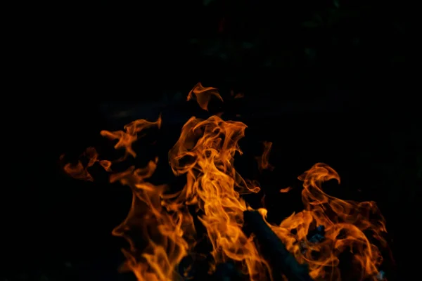 Fogo Chama Fundo Preto Fogo Cria Formas Infinitas Quando Queima — Fotografia de Stock