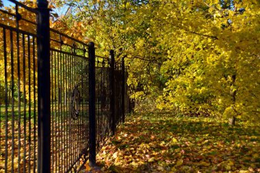 Sonbahar parkta çit