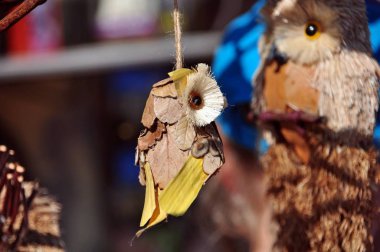 İp üzerinde kabuktan yapılmış baykuş