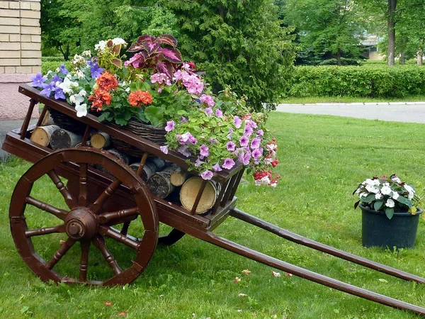 Dřevěný Vozík Květinami Stock Obrázky