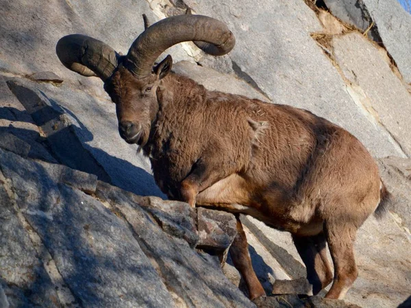 Dağıstan turu dağlarda yüksek