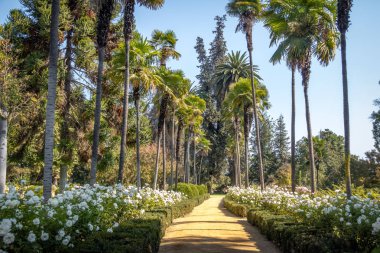 Santiago, Şili - 4 Nisan 2018: Undurraga Vineyard - Santiago, Şili