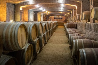 Santiago, Şili - 4 Nisan 2018: Undurraga Vineyard - Santiago, Şili