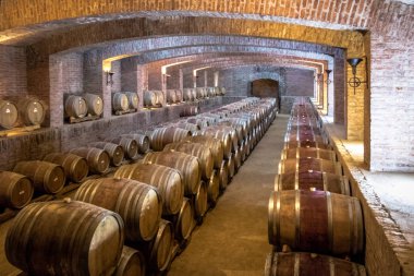 Santiago, Şili - 4 Nisan 2018: Undurraga Vineyard - Santiago, Şili
