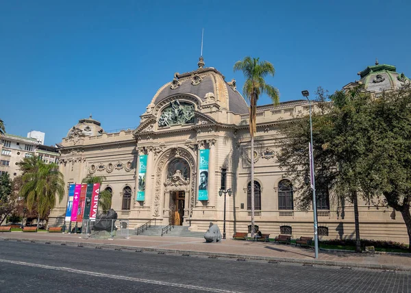Сантьяго Чили Марта 2018 Года Музей Изобразительных Искусств Museo Bellas — стоковое фото