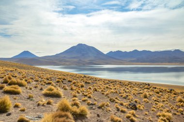 Miscanti Lagoon - Atacama Çölü, Şili