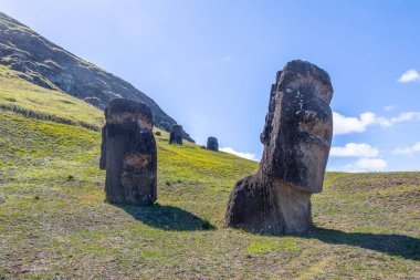 Moai heykelleri Rano Raraku volkan taş ocağı - Paskalya Adası, Şili