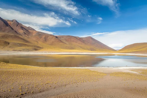 Miniques Lagoon Volcano Deșertul Atacama Chile — Fotografie, imagine de stoc