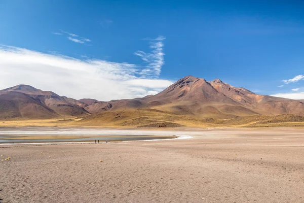 Lagoa Miscanti Deserto Atacama Chile — Fotografia de Stock