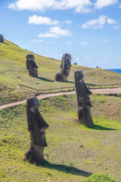 Statue Moai Della Cava Del Vulcano Rano Raraku Isola Pasqua — Foto Stock
