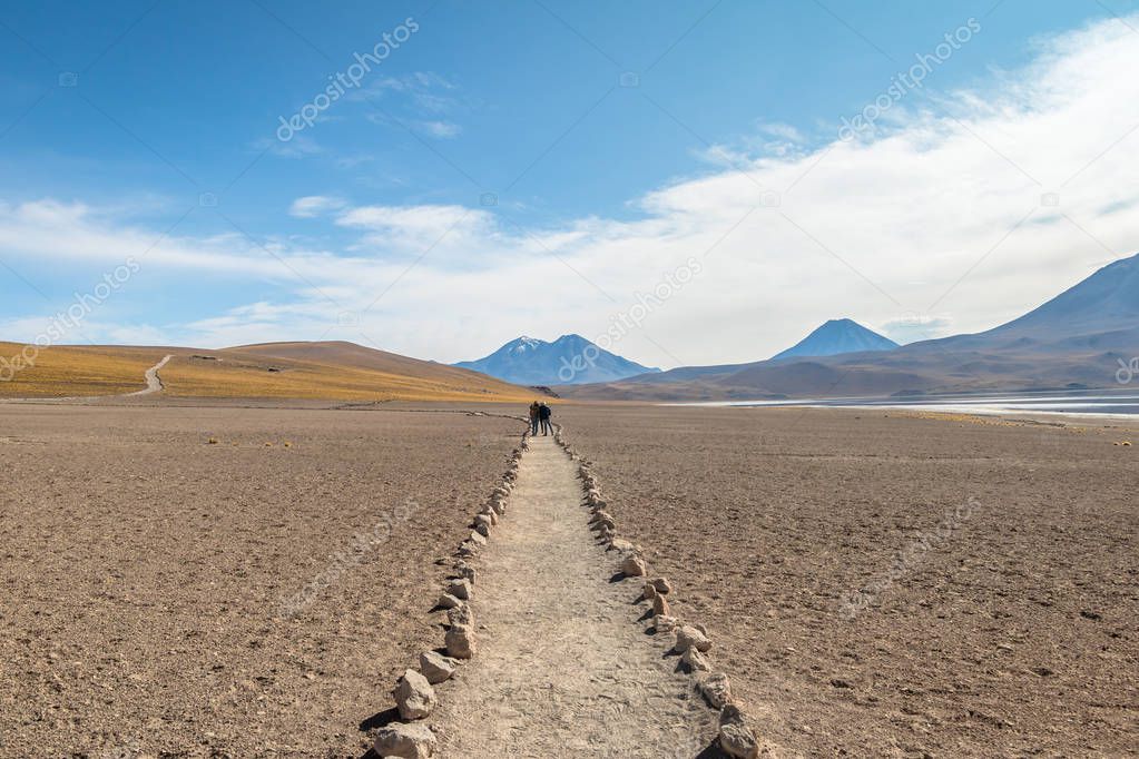 Path on Miniques and Miscanti Lagoon area - Atacama Desert, Chile