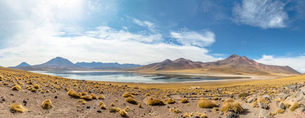 Panoramic view of Miscanti Lagoon - Atacama Desert, Chile