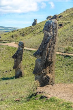 Moai heykelleri Rano Raraku volkan taş ocağı - Paskalya Adası, Şili