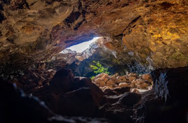 Bitki Ana Te Pahu mağara - Paskalya Adası, Şili, güneş ışığı tarafından vuruldu