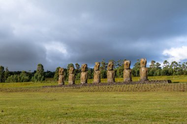 Moai heykeller Ahu Akivi, okyanus - Paskalya Adası, Şili bakan tek Moai