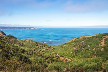 Muelle de las Almas (Dock ruhların), Cucao - Chiloe Adası, Şili