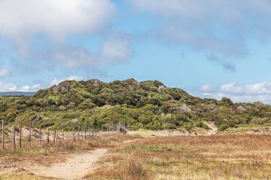 Dunas de Cucao Beach, Chiloe Milli Parkı - Chiloe Adası, Şili
