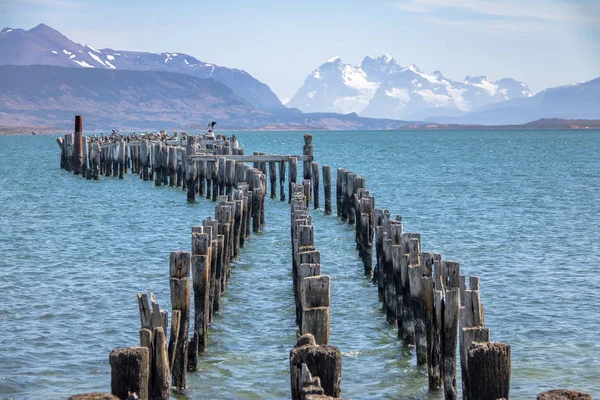 Old Dock Almirante Montt Gulf Patagonia Puerto Natales Magallanes Region — стоковое фото