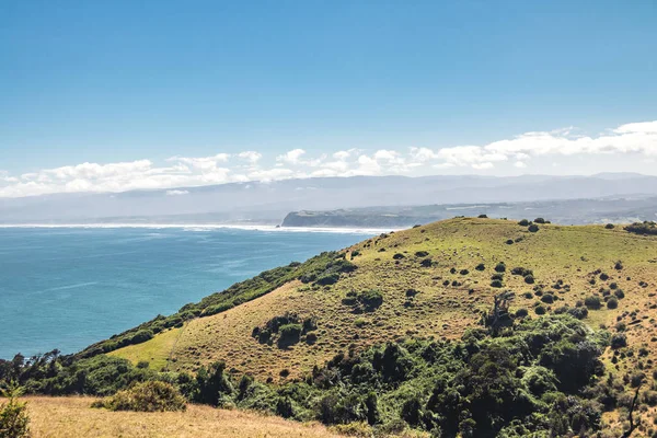 Owce Wzgórzach Cucao Wyspa Chiloe Chile — Zdjęcie stockowe