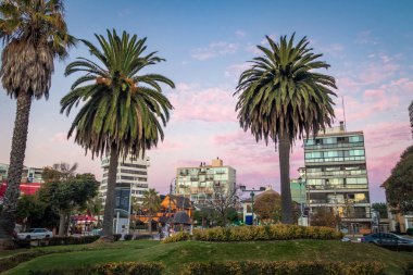 Gün batımında Plaza Kolombiya - Vina del Mar, Şili