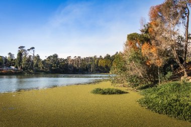 Sausalito Lagoon Park - Vina del Mar, Şili