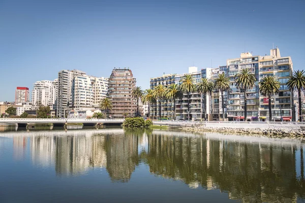 Estero Nehri - Vina del Mar, Şili