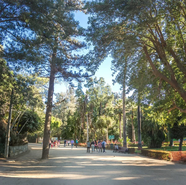 Vina Del Mar Chile März 2018 Quinta Vergara Park Vina — Stockfoto