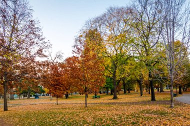 Queens Park Sonbahar renkli bitki örtüsü - Toronto, Ontario, Ca