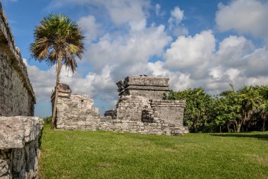 Maya harabelerini - tulum, Meksika