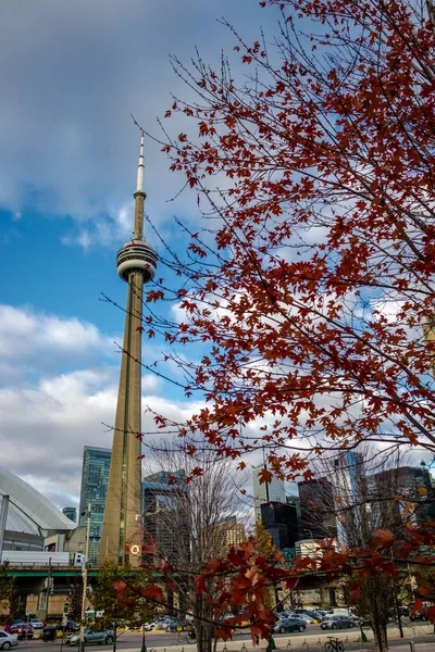 Tower Herfst Vegetatie Toronto Ontario Canada — Stockfoto